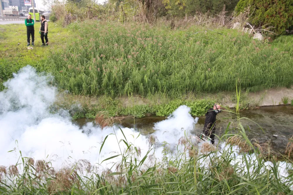 Sinekle mücadele sonbaharda da hız kesmiyor